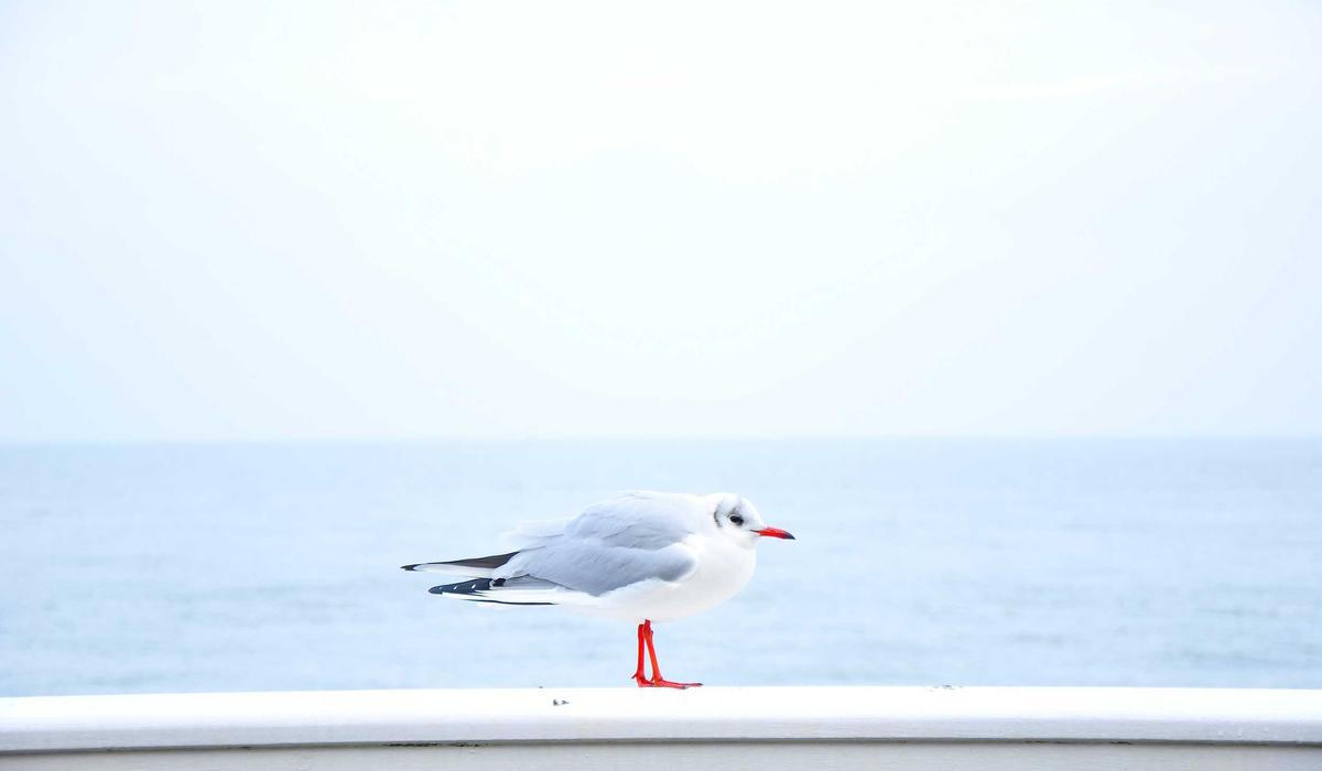 Inside maintaining a small website: notes, examples and checks